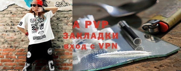 крисы Осташков