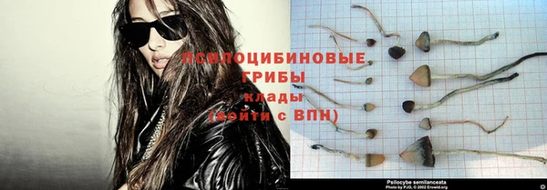 таблы Осинники